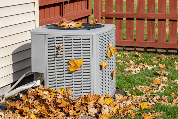 Best Air Quality Test  in Washburn, IL